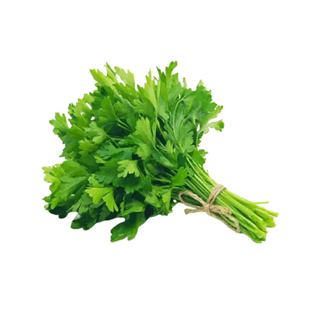 Coriander 2 Bunches