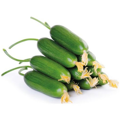 Mini Cucumber 1kg