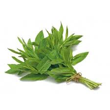 Fresh Mint Leaves 1 bundle