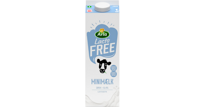 Mini Milk Lactose Free %0.4 1L