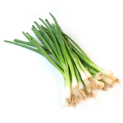 Spring Onion 1 Bunch